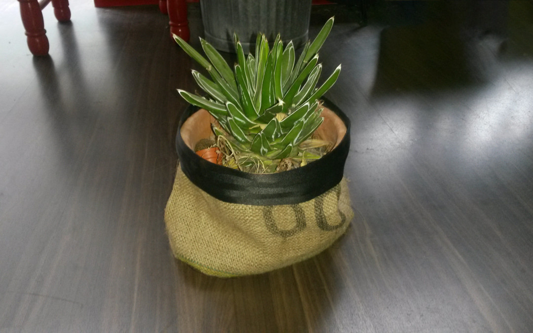 Porta Vaso Juta